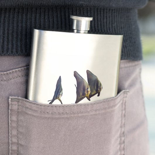 Der Niedliche Longfin Batfish Flachmann (Beispiel)