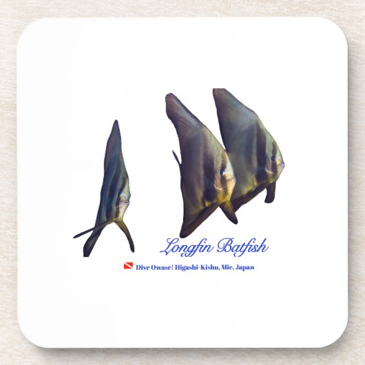 Der Niedliche Longfin Batfish Getränkeuntersetzer (Vorderseite)