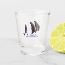 Der Niedliche Longfin Batfish