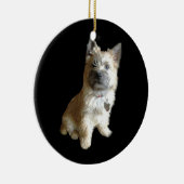 Der niedlichste Cairn-Terrier überhaupt! Keramikornament (Rechts)