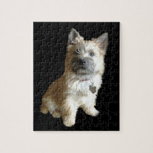 Der niedlichste Cairn-Terrier überhaupt!  Puzzle