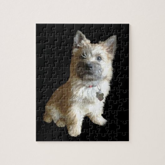 Der niedlichste Cairn-Terrier überhaupt! Puzzle (Vertikal)
