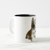 Der niedlichste Cairn-Terrier überhaupt! Zweifarbige Tasse (Vorderseite Links)
