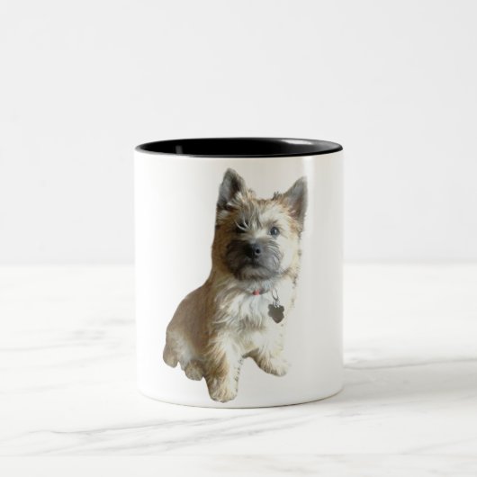 Der niedlichste Cairn-Terrier überhaupt! Zweifarbige Tasse (Mittel)