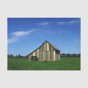 Der Niedlichste gestreifte Stall überhaupt! Seidenpapier