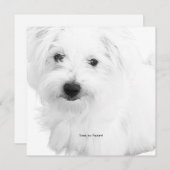 Der Niedlichste maltesische Hund je Party Einladung (Vorne/Hinten)