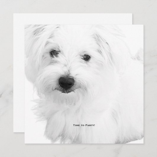 Der Niedlichste maltesische Hund je Party Einladung (Vorne/Hinten)