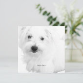 Der Niedlichste maltesische Hund je Party Einladung (Stehend Vorderseite)