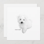 Der Niedlichste maltesische Hund je Party Einladung (Vorne/Hinten)