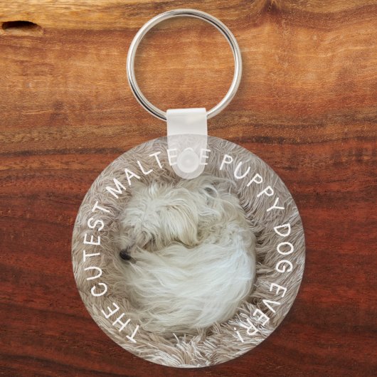 Der Niedlichste maltesische Welpenhund aller Zeite Schlüsselanhänger (Vorderseite)