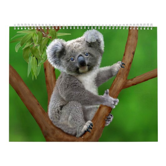 Der niedlichste Monatskalender der Natur Kalender (Titelbild)