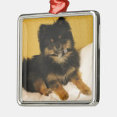 Der niedlichste Spitz Ornament Aus Metall (Links)