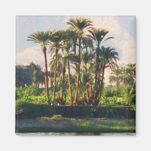 Der Nil in Ägypten, Luxor Magnet (Vorne)