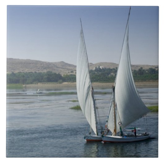Der Nil und Segelboote, die als Fliese (Vorderseite)