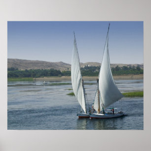 Der Nil und Segelboote, die als Poster