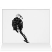 Der Nobeladler (Innenansicht Horizontal (Oben))