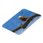 Der Nobeladler Magnet (Linke Seite)