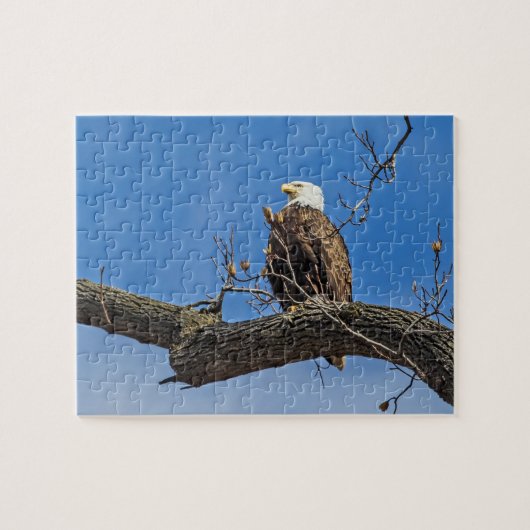 Der Nobeladler Puzzle (Horizontal)
