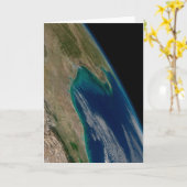 Der nördliche Golf von Mexiko. Karte (Gelbe Blume)