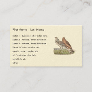 Der Nördliche Harrier (Ringschwanzfalken) NY Bird Visitenkarte