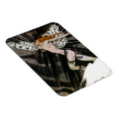 Der Nordwind Magnet (Rechte Seite)