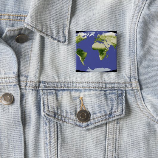 Der normierte Index für Unterschiedsvegetation Button (Beispiel)