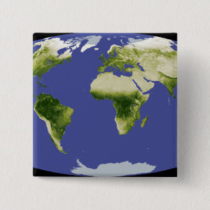 Der normierte Index für Unterschiedsvegetation Button