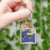 Der normierte Index für Unterschiedsvegetation Schlüsselanhänger (Hand)