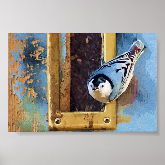 Der Nuthatch Poster (Vorne)