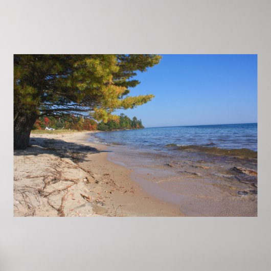 Der Oberste See, Brunette Park im Herbst Poster (Vorne)
