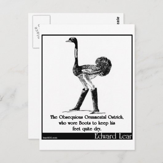 Der Obsequivalent-Strauß Postkarte (Vorne/Hinten)