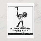 Der Obsequivalent-Strauß Postkarte (Vorderseite)