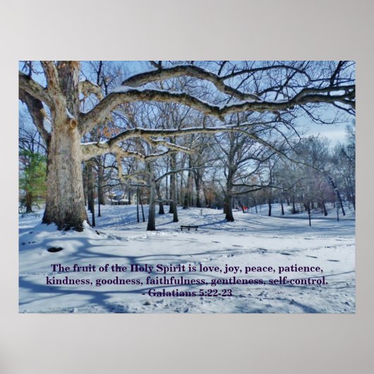 DER OBST DES SPIRITS POSTER (Vorne)