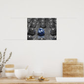 Der Oddball Poster (Küche)