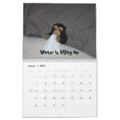 Der offizielle Haustier-Affe-Kalender Kalender (Mär 2027)