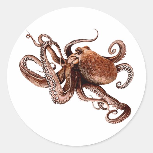 Der Oktopus Runder Aufkleber (Vorderseite)