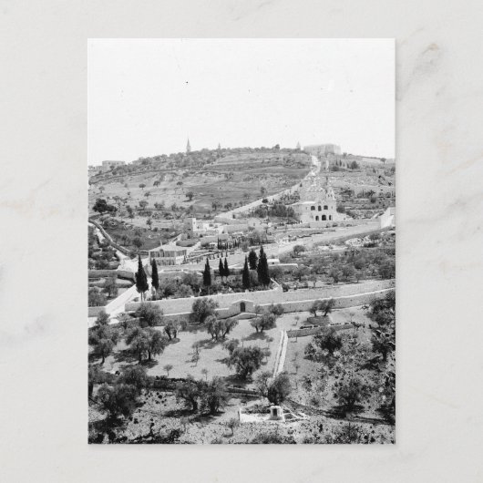 Der Ölberg in Jerusalem Postkarte (Vorderseite)