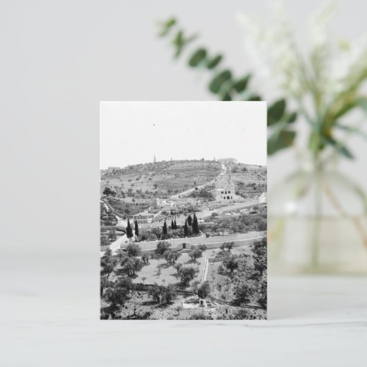 Der Olivenberg in Jerusalem Postkarte (Stehend Vorderseite)