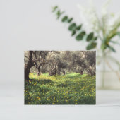 Der Olivenhain Postkarte (Stehend Vorderseite)