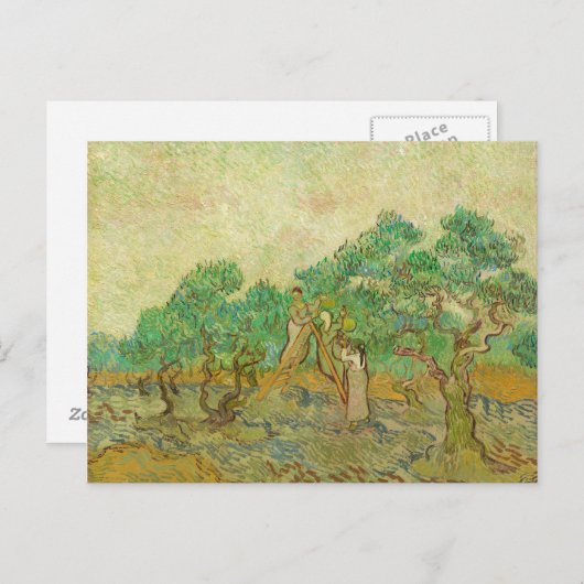 Der Olivenhain von van Gogh Postkarte (Vorne/Hinten)