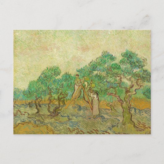 Der Olivenhain von van Gogh Postkarte (Vorderseite)