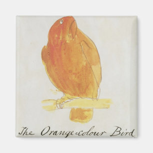 Der orange Farbvogel, von 'sechzehn Zeichnungen Magnet