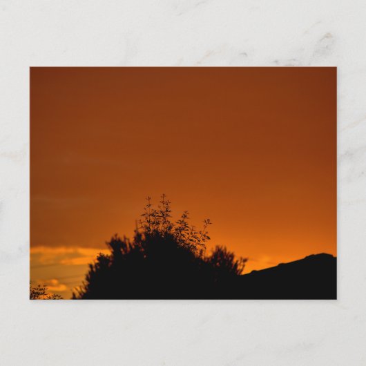 Der orange Himmel Postkarte (Vorderseite)