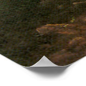 Der Oregon Trail von Albert Bierstadt Poster (Ecke)