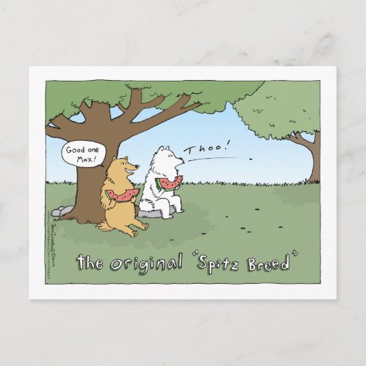 Der originelle Cartoon der "Spitz-Rasse" Postkarte (Vorderseite)