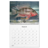 Der Oscar-Spot Kalender (Mär 2027)