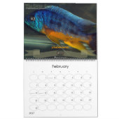 Der Oscar-Spot Kalender (Feb 2027)