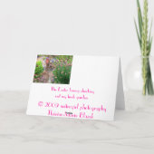 der Osterhase Feiertagskarte (Rückseite)