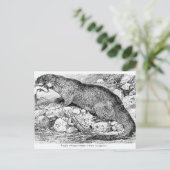 Der Otter Postkarte (Stehend Vorderseite)