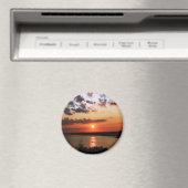 Der Ozarker See Magnet (In Situ (Geschirrspüler))